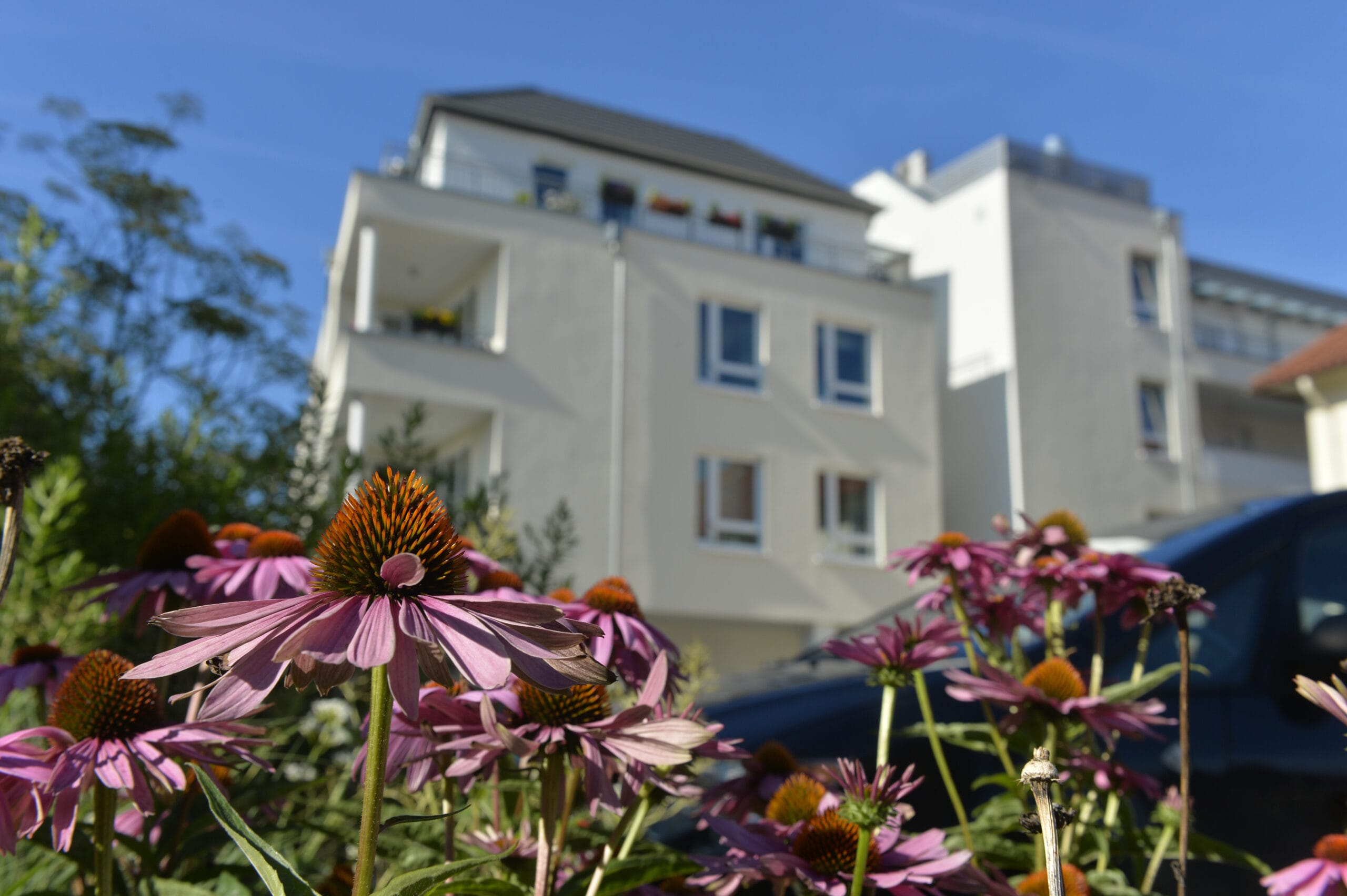 Wohncafe_Salzufler_Straße